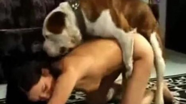 Секс Женщина Плачет Когда Ее Трахает Собака