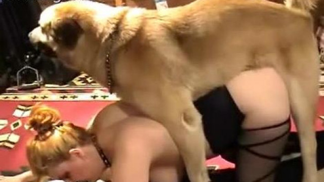 Порно Ролики Женщин С Собаками